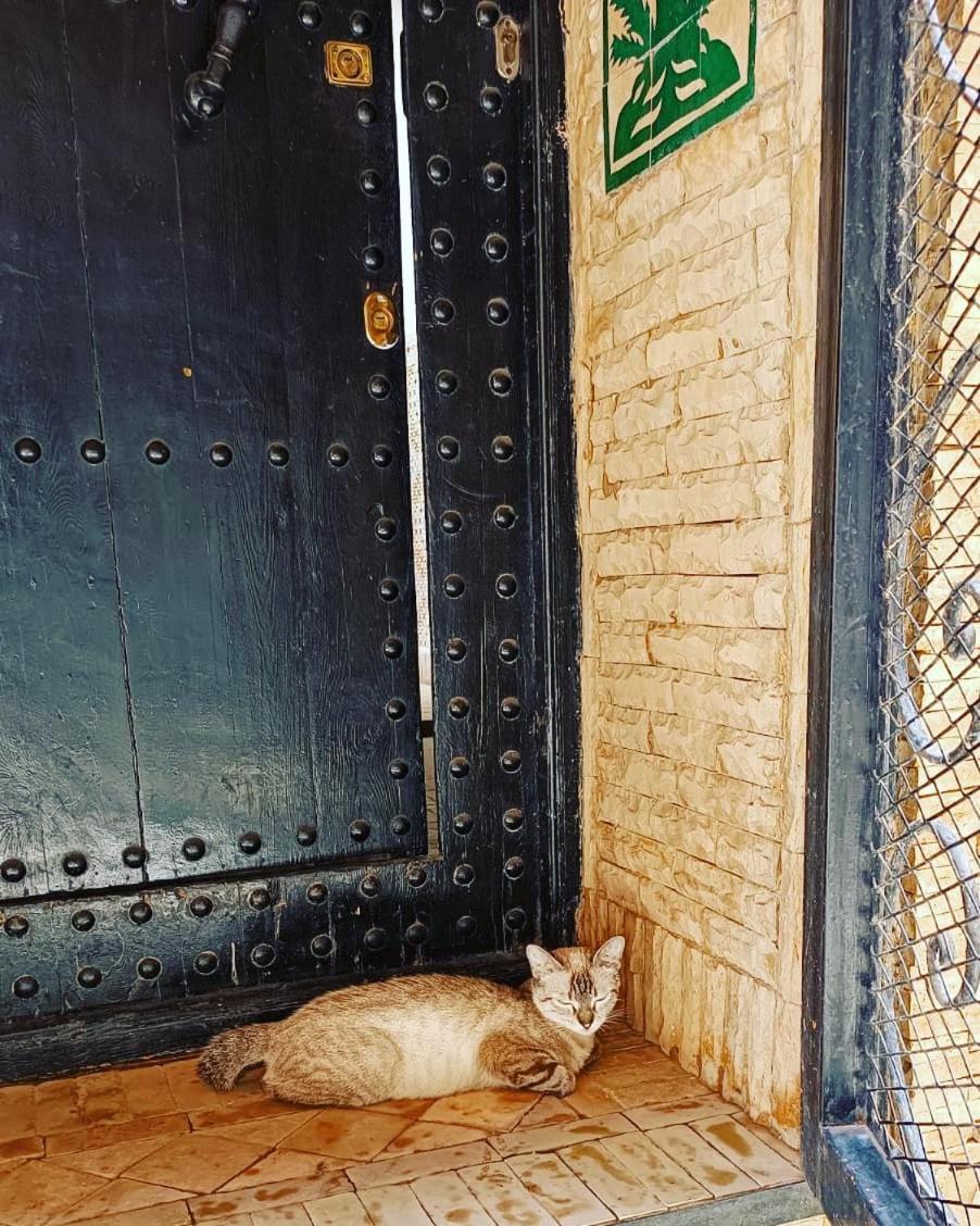Riad Hugo มาร์ราเกช ภายนอก รูปภาพ